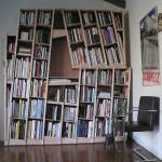 Carles_Shelves